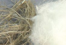 منسوجات و پوشش های بالستیکی، الیاف سلولزی