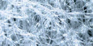 سهم تولید الیاف سلولزی بازیافتی در بازار